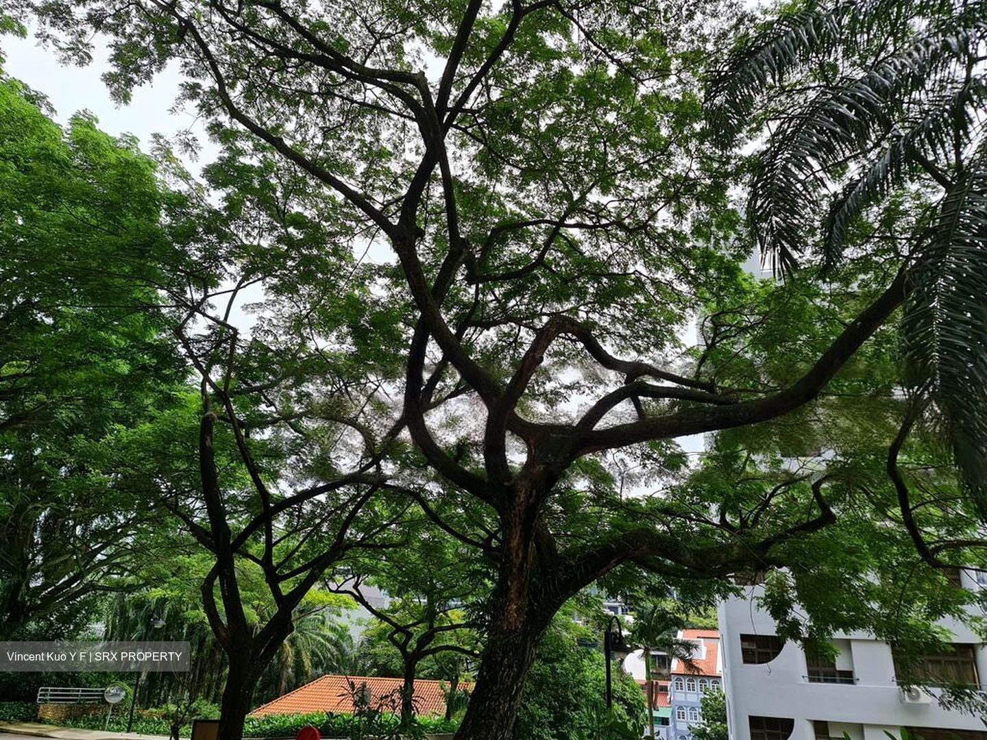 Aspen Heights (D9), Condominium #469471691